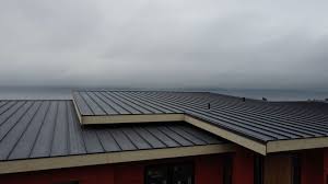 Best Roof Coating and Sealing  in Tompkinsville, KY